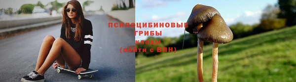 стаф Липки