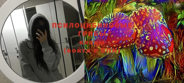 стаф Липки