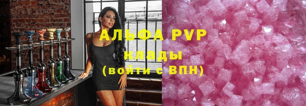 стаф Липки