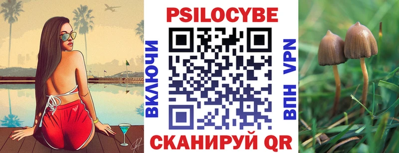 Купить закладки  Ликино-Дулёво  Псилоцибиновые грибы Psilocybine cubensis 