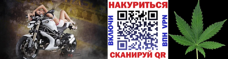 Купить  Ликино-Дулёво  Конопля гибрид 
